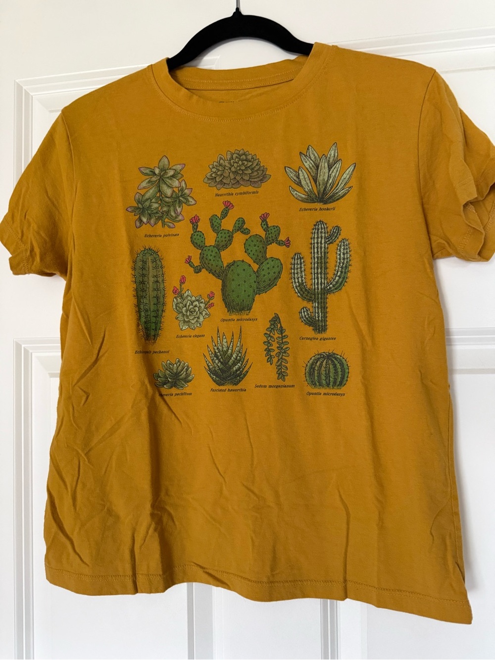 Fifth Sun Mustard Yellow Crewneck Graphic Tee